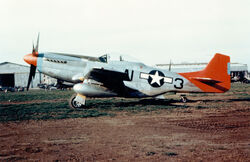 Tuskegee P-51