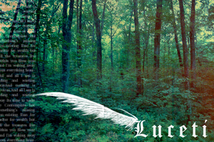 Luceti