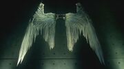 106 Lucifer's wings