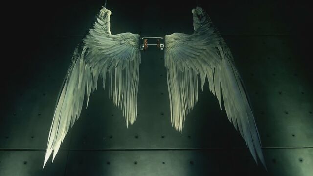 File:106 Lucifer's wings.jpg