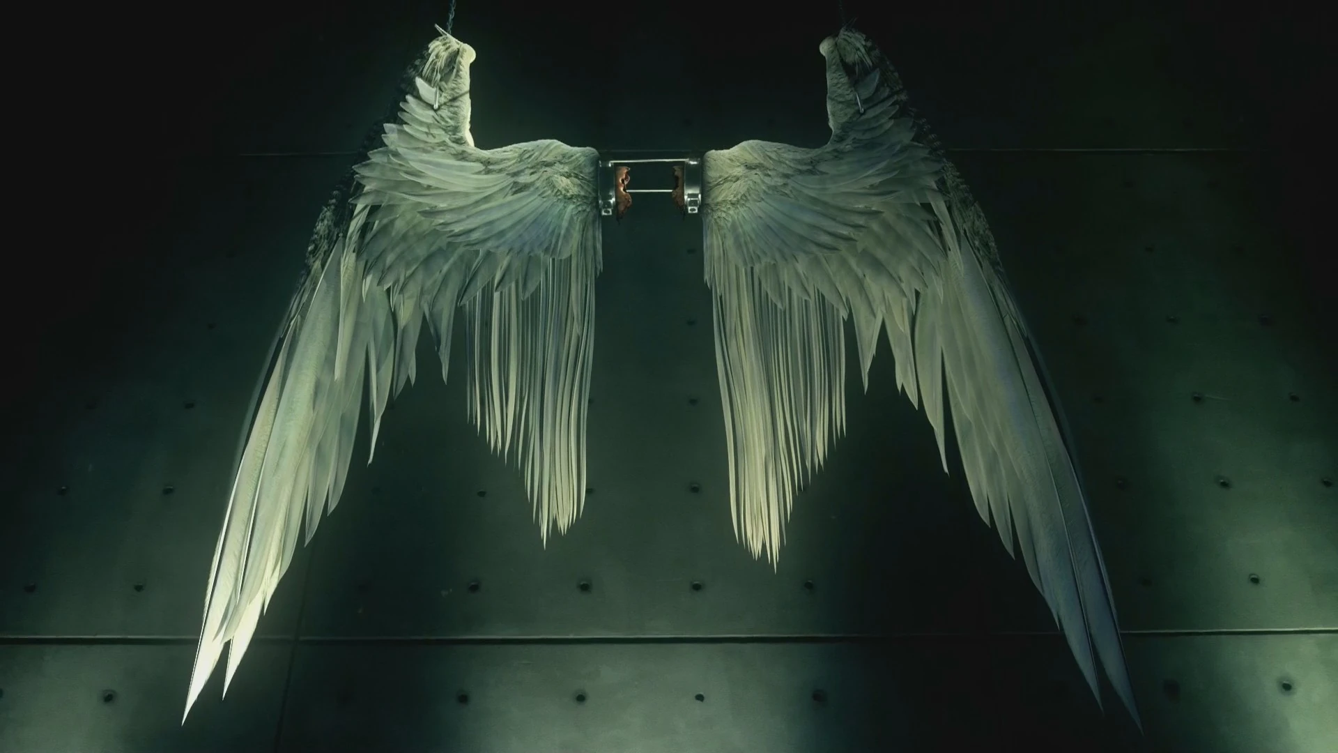 Image 106 Lucifer's wings.jpg Lucifer Wiki FANDOM powered by Wikia