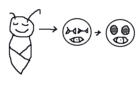 File:Nightbug.png