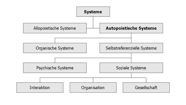 Datei:Systems Autopoiesis.jpg