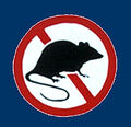 Thumbnail for version as of 08:20, March 31, 2012