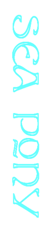 File:Seapony text.png