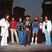 Flynyrd skydb501e6f5d64ed394b299d