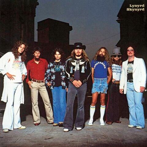 File:Flynyrd skydb501e6f5d64ed394b299d.jpg