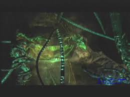 Gravemind