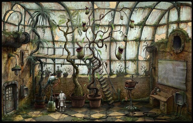File:Flytrap plant - glasshouse.jpg