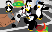 Sleepover at Penguin HQ