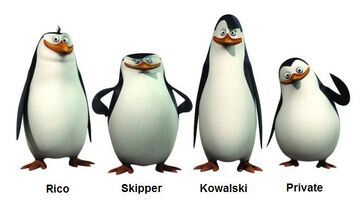 Die pinguine.jpg