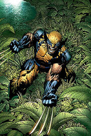 Wolverine