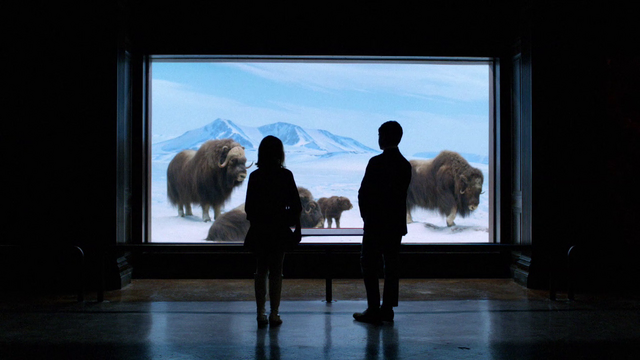 File:Glen and Sally at the museum.png