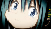 MSMM8-11.jpg