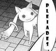 He.is.back.jpg