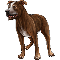 Image - Huge item pitbull 02.gif | Mafia Wars Wiki | FANDOM powered by Wikia