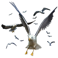 flock of seagulls hair png flock of seagulls hair png