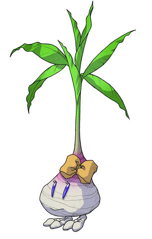 File:Radish (F).jpg