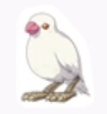 Sparrow