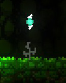 File:Bug Branch.jpg