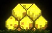 Hive