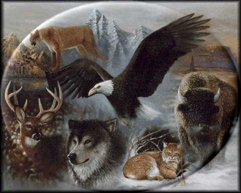 File:Power animals.jpg