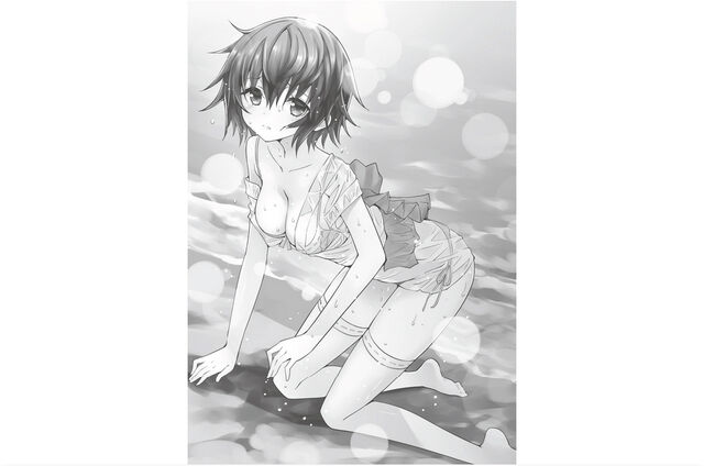 File:Volume 6 Illustration 4.jpg