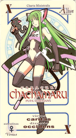 File:Chacha.jpg