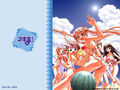 Thumbnail for version as of 21:03, January 15, 2011