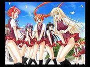 Negima ecchi