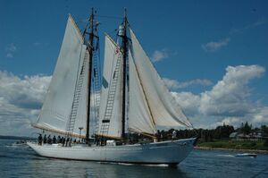 M bowdoin