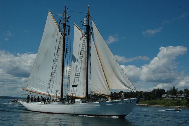 File:M bowdoin.jpg