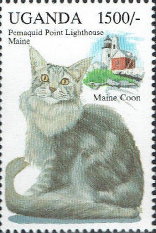 File:M uganda 1249.jpg