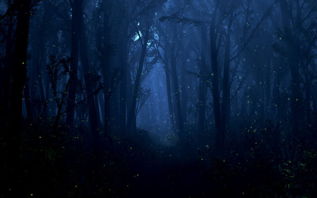 File:Firefly.jpg