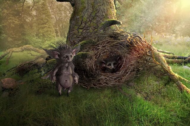 File:Hedgehogfairy 4.jpg