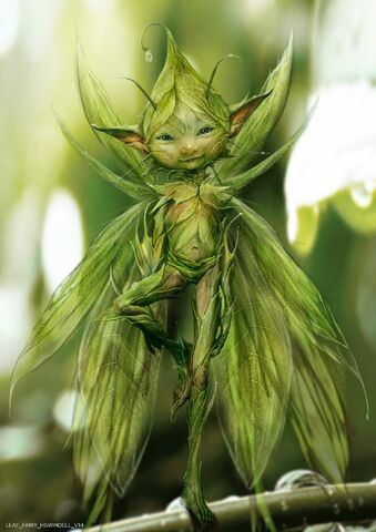 File:LeafFairy 2.jpg