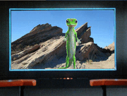 Gecko