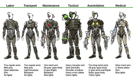 Cyb Borg