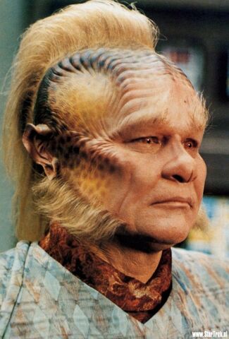 File:Neelix2.jpg