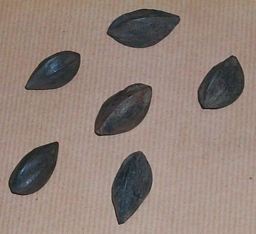 File:Seeds camerun.jpg