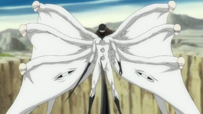 800px-Aizen Fourth Form Full
