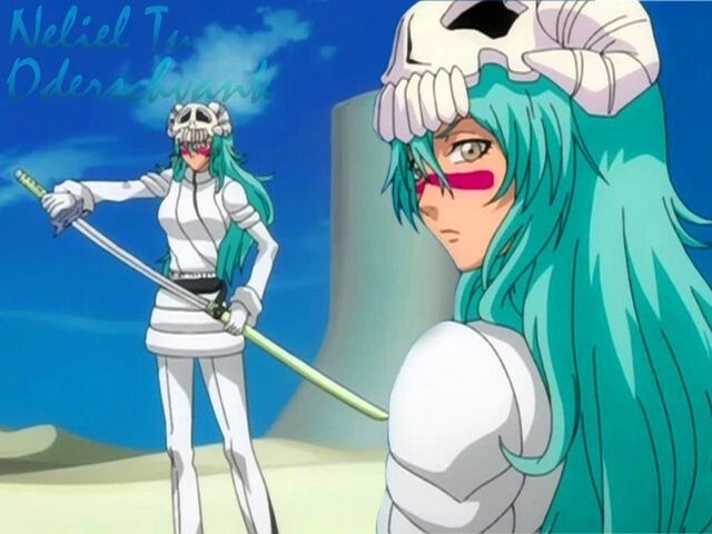Archivo:Bleach espada nelliel tu odelschwanck hueco mundo 1024x768 wallpaper www.wallpaperhi.com 37.jpg