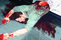 Thumbnail for version as of 08:57, July 18, 2009