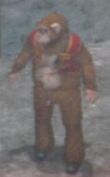 Monkey Outfit