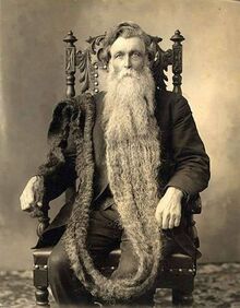 Beardedpsycho