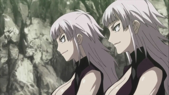 File:MAS twins.jpg