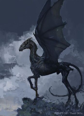 Archivo:Thestral.jpg