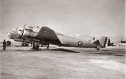 07-air-le0.jpg