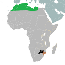TV-A S.E. Africa