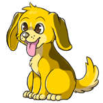 Rusty yellow 2014